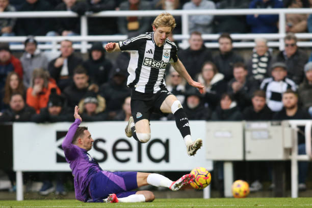 斩获佳绩 斩获佳绩